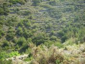 2008-03-30-025-East-of-Calpe