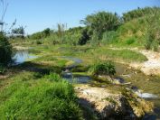2008-04-01-006-Stream