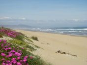 2008-04-01-010-Coast