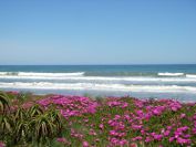 2008-04-01-013-Coast