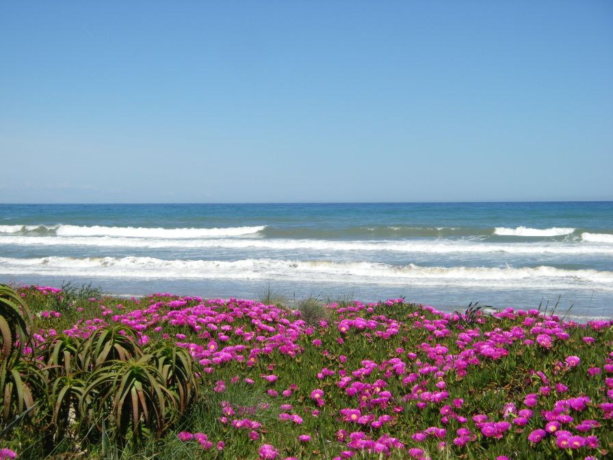 2008-04-01-013-Coast