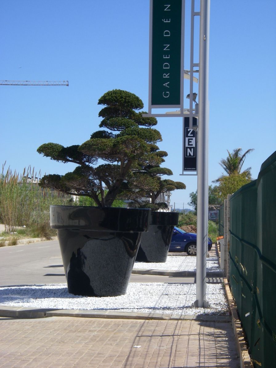 2008-04-01-018-Bonsai-garden-centre