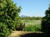 2008-04-01-024-Montgo