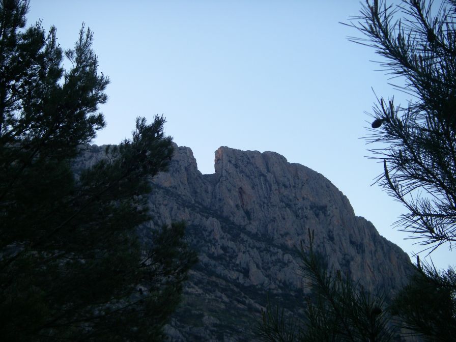 2008-04-04-002-Puig-Campana
