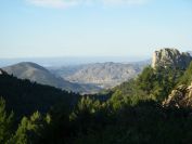 2008-04-04-021-View