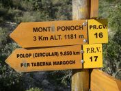 2008-04-04-039-PR.CV-Sign