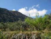 2008-04-04-051-View