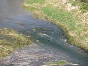 2008-04-05-002-Rio-Algar-at-Altea