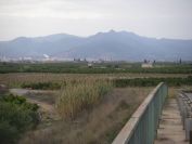2008-12-26-015-Mountains-near-Castellon