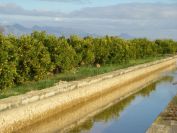 2008-12-27-013-Canal