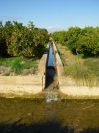 2008-12-27-019-Canal