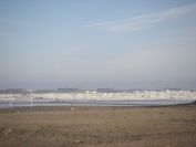 2008-12-27-024-Tankers-On-Hold