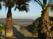 2008-12-27-029-Platja-del-Gurugu