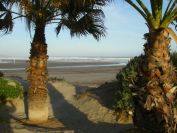 2008-12-27-030-Platja-del-Gurugu