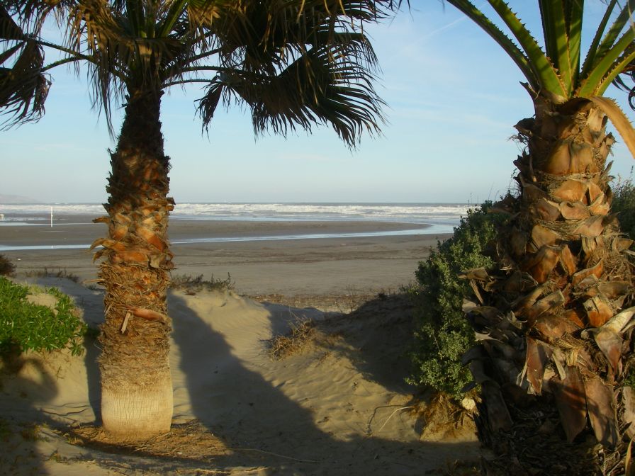 2008-12-27-030-Platja-del-Gurugu