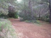2008-12-28-010-Via-Verde
