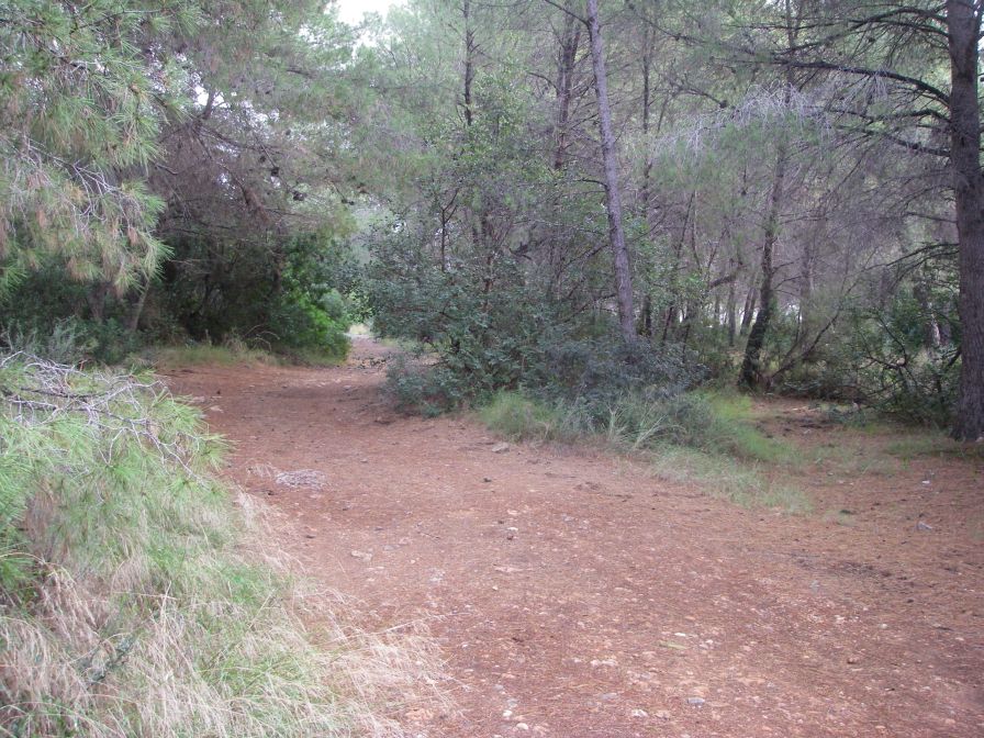 2008-12-28-010-Via-Verde