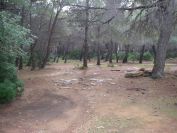 2008-12-28-011-Via-Verde