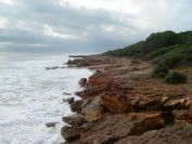 2008-12-28-012-Via-Verde