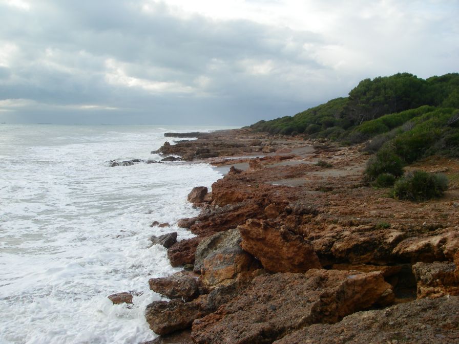 2008-12-28-012-Via-Verde