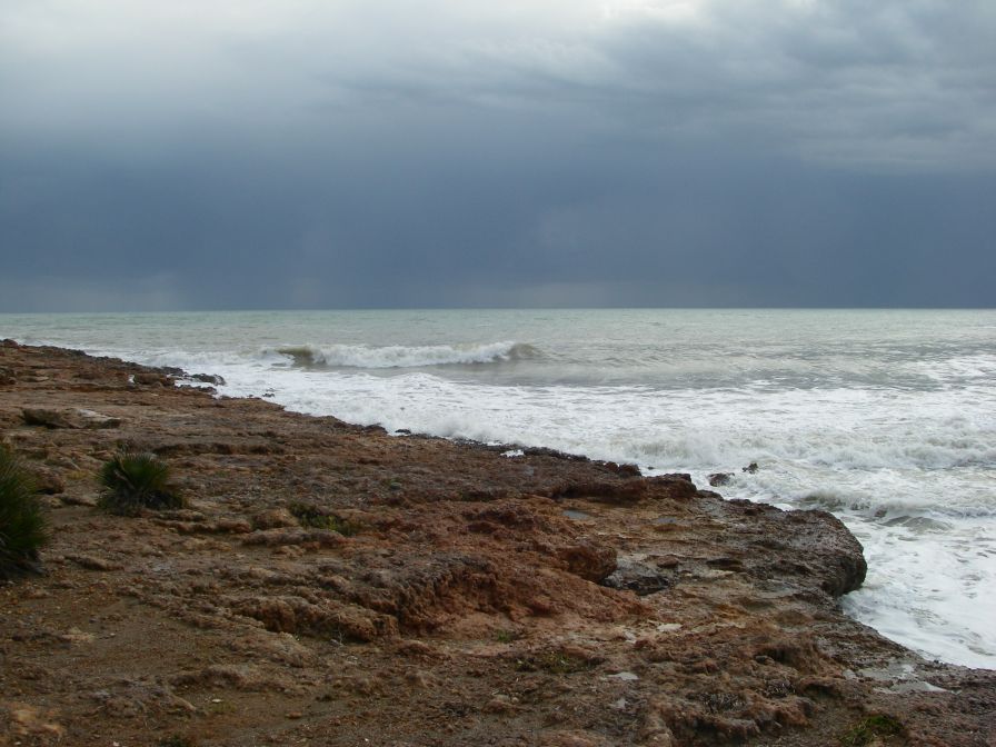 2008-12-28-013-Via-Verde
