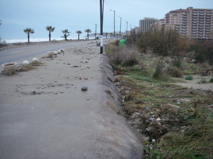 2008-12-29-003-Clean-up-after-60yr-storm