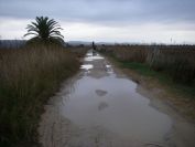 2008-12-29-008-Molts-Nubols