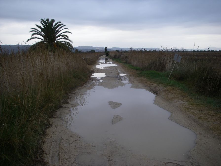 2008-12-29-008-Molts-Nubols