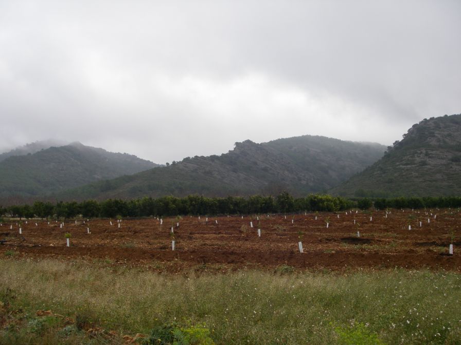 2008-12-30-033-Mountains