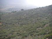 2008-12-30-046-Hill-Side