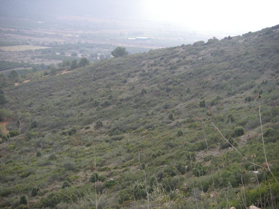 2008-12-30-046-Hill-Side