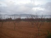 2008-12-31-003-Dawn-Mists