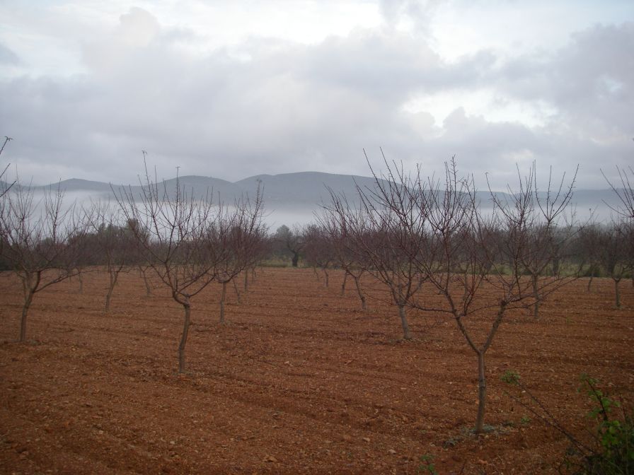 2008-12-31-003-Dawn-Mists