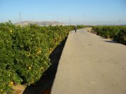 2008-12-25-004-Typical-road