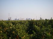 2008-12-25-005-Coastal-Industry