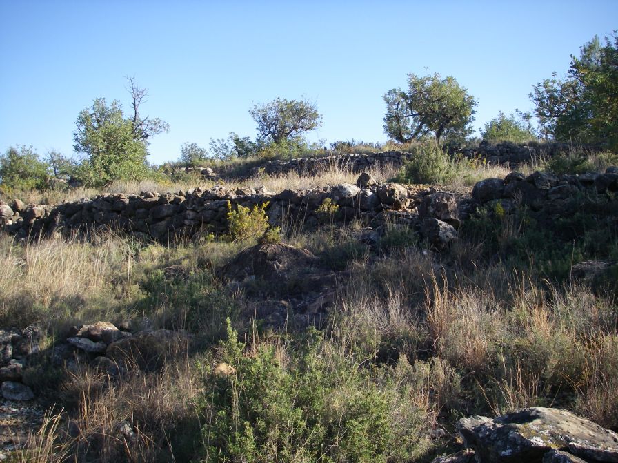 2008-12-25-016-First-Wild-Hillside