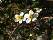 2008-12-25-019-Unknown