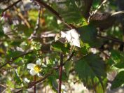 2008-12-25-020-Unknown