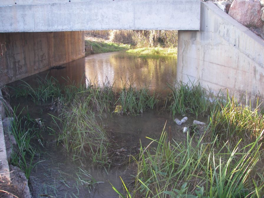 2008-12-25-025-We-had-to-wade-across