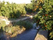 2008-12-25-026-We-had-to-wade-across
