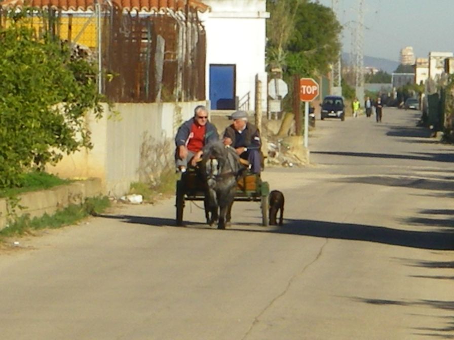 2008-12-21-006-Pony-and-Trap