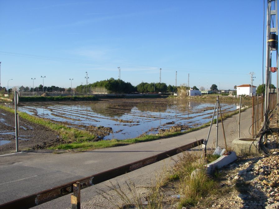 2008-12-21-020-Flooded-Rice-Paddy