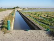 2008-12-22-019-Canal