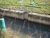 2008-12-22-020-Canal