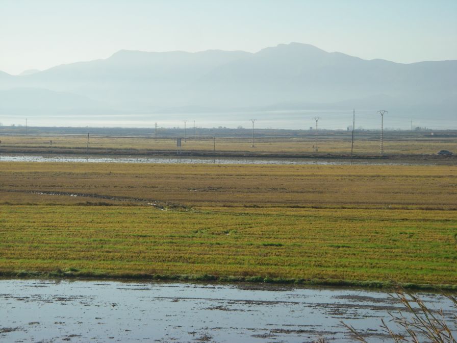 2008-12-22-021-Mountains