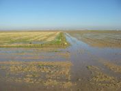 2008-12-22-030-Rice-Paddies