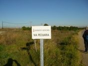 2008-12-23-006-Via-Pecuaria