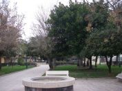 2008-12-24-004-Park-in-Alboraia