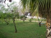 2009-01-01-002-Thu-Benicarlo-Park