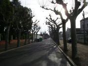 2009-01-01-006-Benicarlo-Avenue